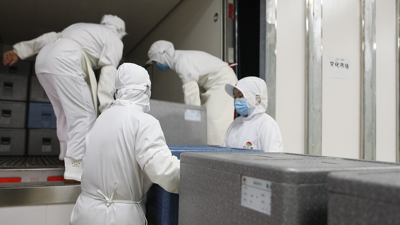 ������Ե_��ҳ�������