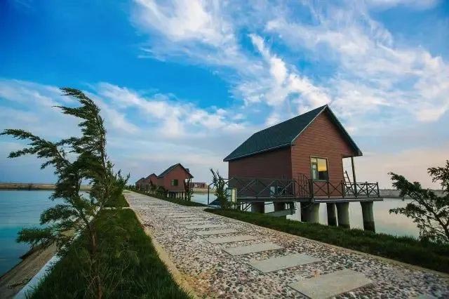 ������Ե_��ҳ�������