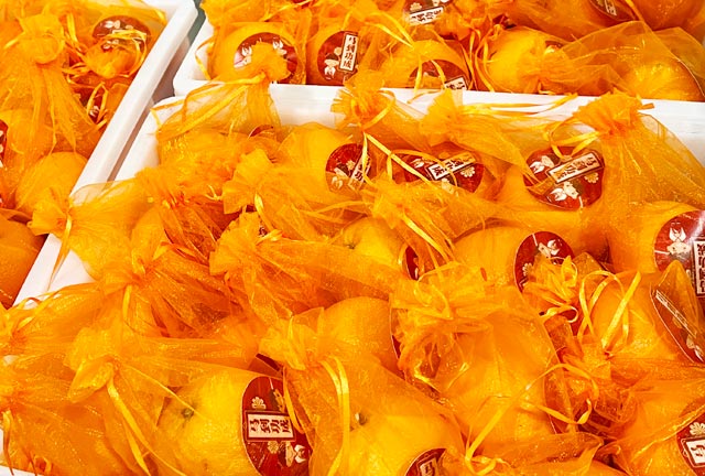 ������Ե_��ҳ�������