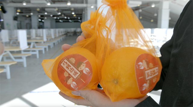 ������Ե_��ҳ�������