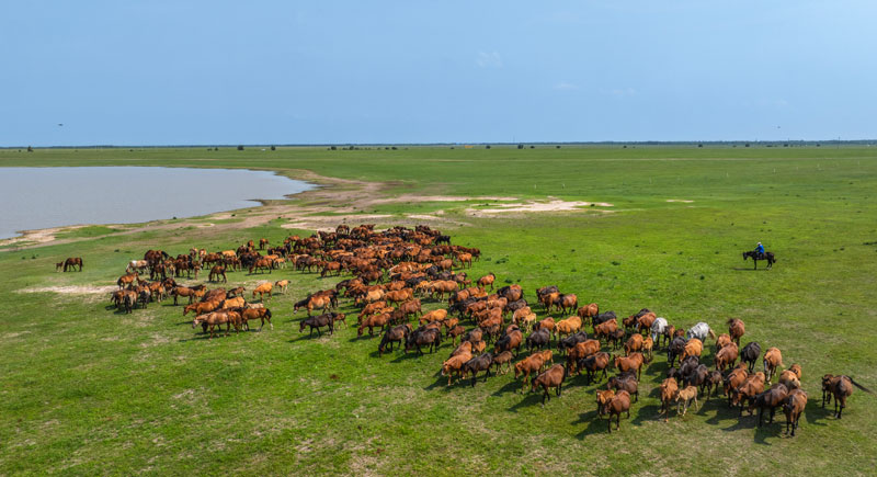 ������Ե_��ҳ�������