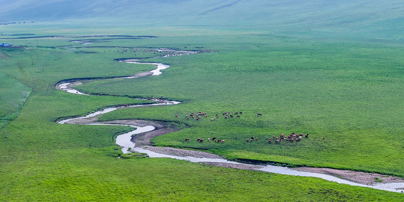 ������Ե_��ҳ�������