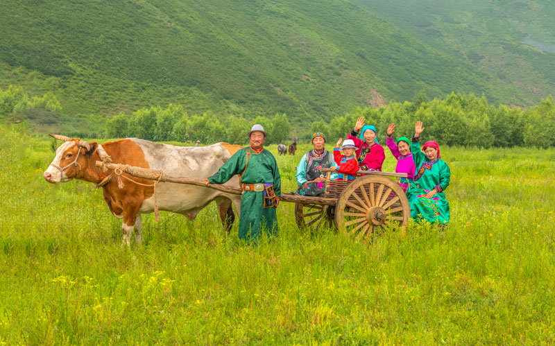 ������Ե_��ҳ�������